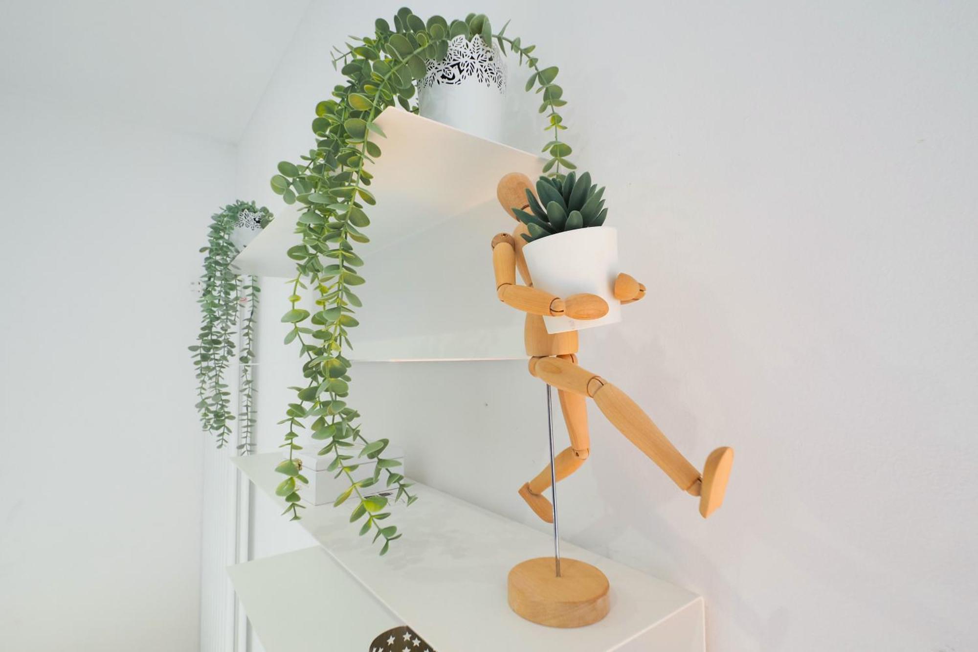 Appartement Primopiano - Andrea Doria *